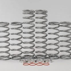 Shock Therapy Dual Rate Spring Kit (DRS) 2018-2020 Polaris RS1