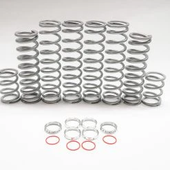 Shock Therapy Polaris Pro XP Dual Rate Spring Kit