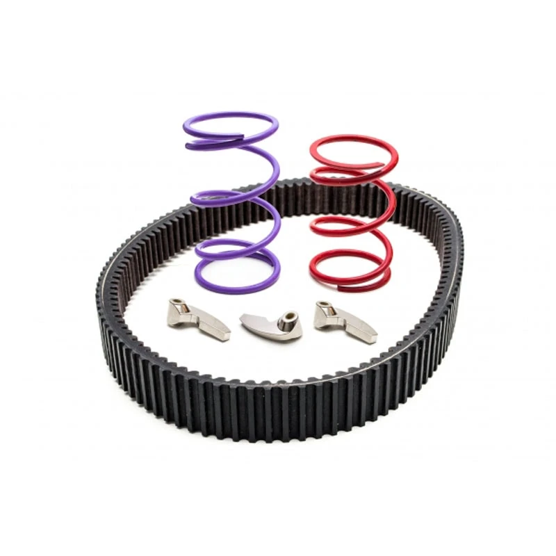 Trinity Racing RZR Pro XP Clutch Kit